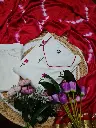 1000048159.webp